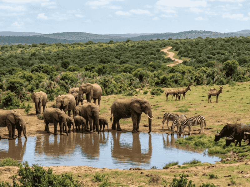 Port Elizabeth things to see